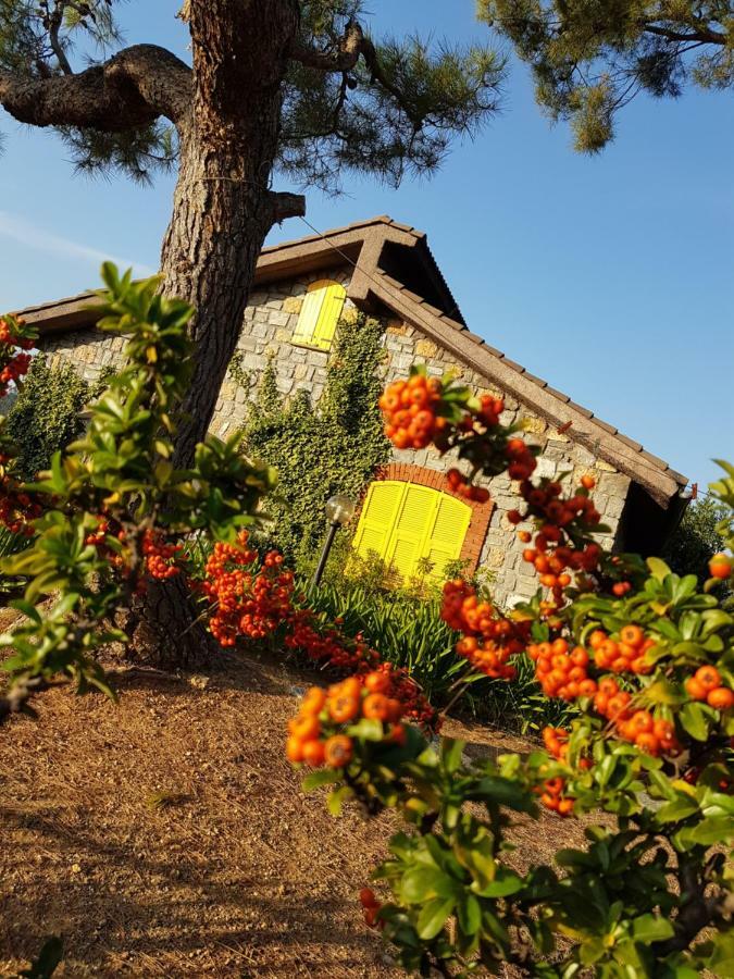 Villa Fior Di Lavanda Cisano sul Neva Exterior foto
