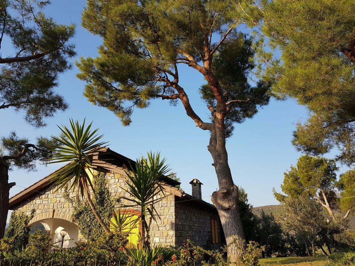Villa Fior Di Lavanda Cisano sul Neva Exterior foto