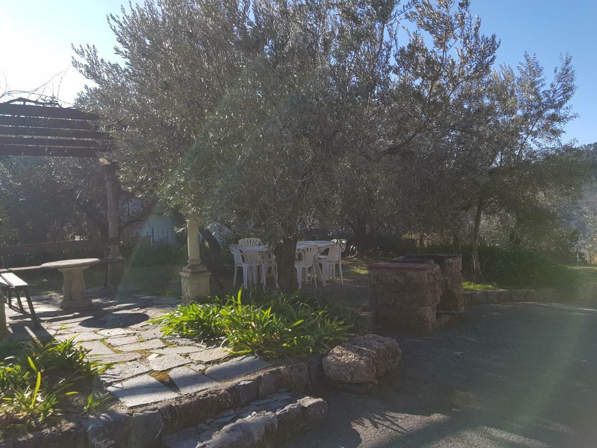 Villa Fior Di Lavanda Cisano sul Neva Exterior foto